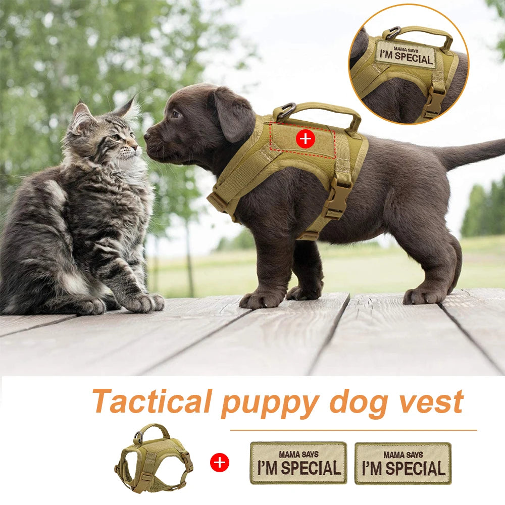 Colete peitoral de nylon para gatos com 2 adesivos, estilo militar tático, com alça, ideal para treinamento e passeios com gatos .
