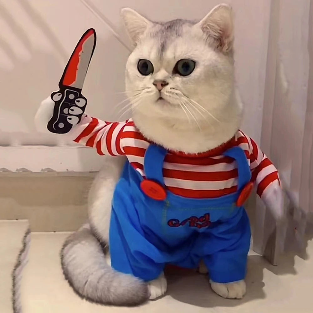Roupas engraçadas para gatos