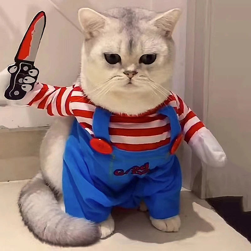 Roupas engraçadas para gatos