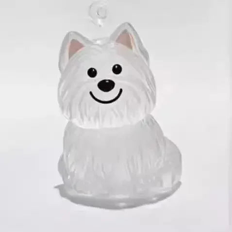 Recipiente transparente para guardar lembranças do seu pet .