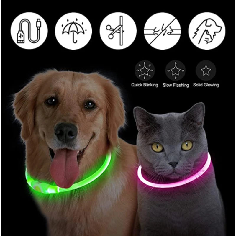 Coleira LED Recarregável para Cães e Gatos - Segurança Noturna | Visibilidade Total | USB